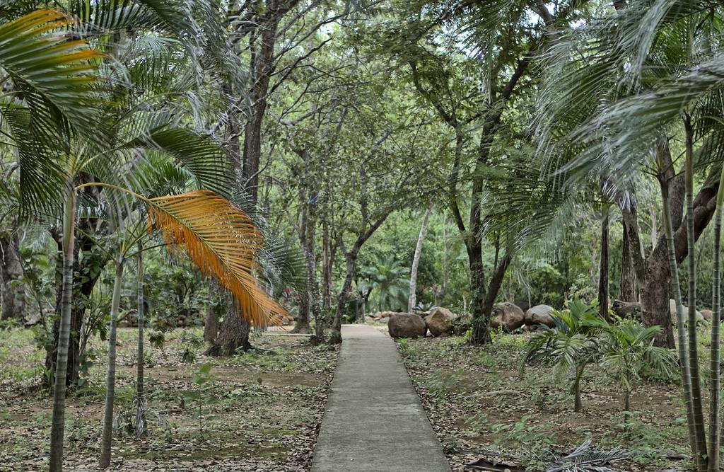 Cañon De La Vieja Lodge Liberia