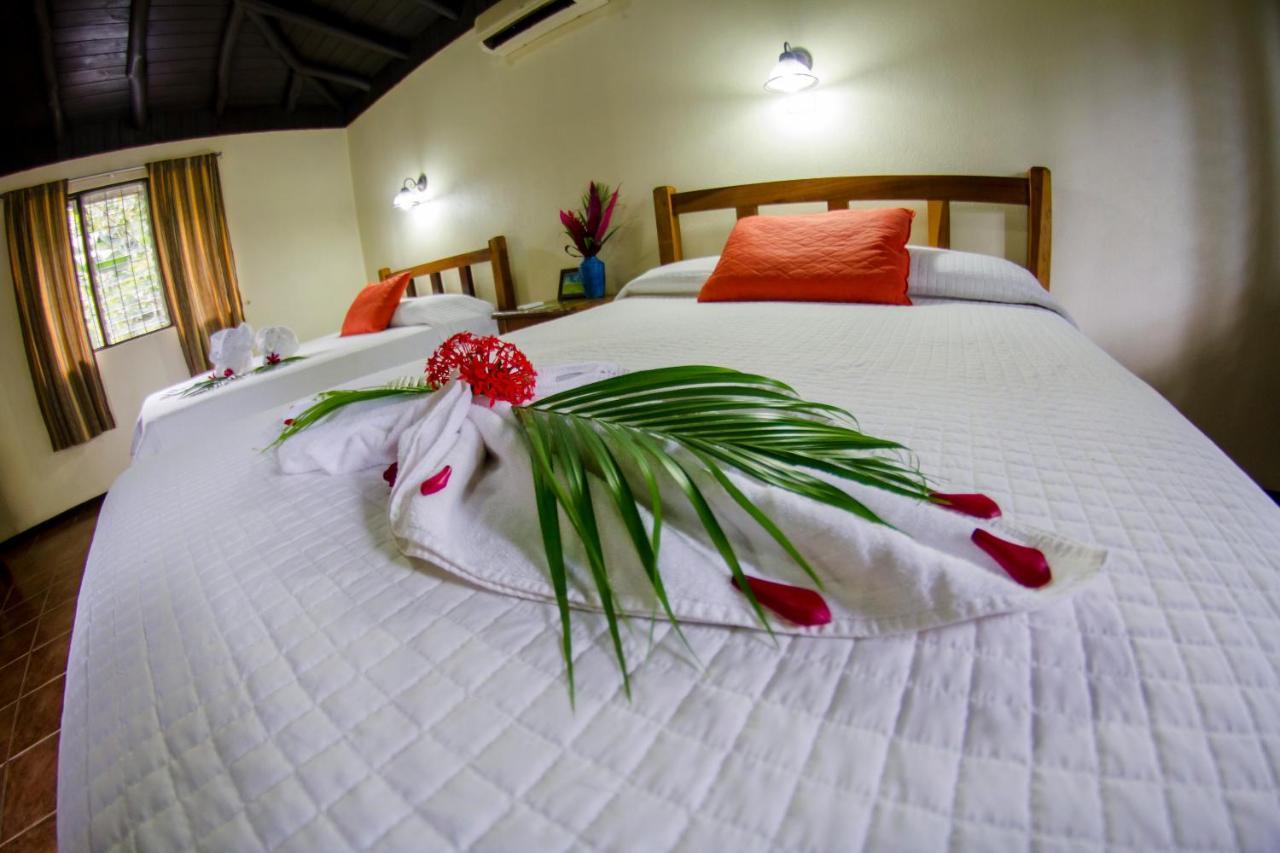 Cañon De La Vieja Lodge *